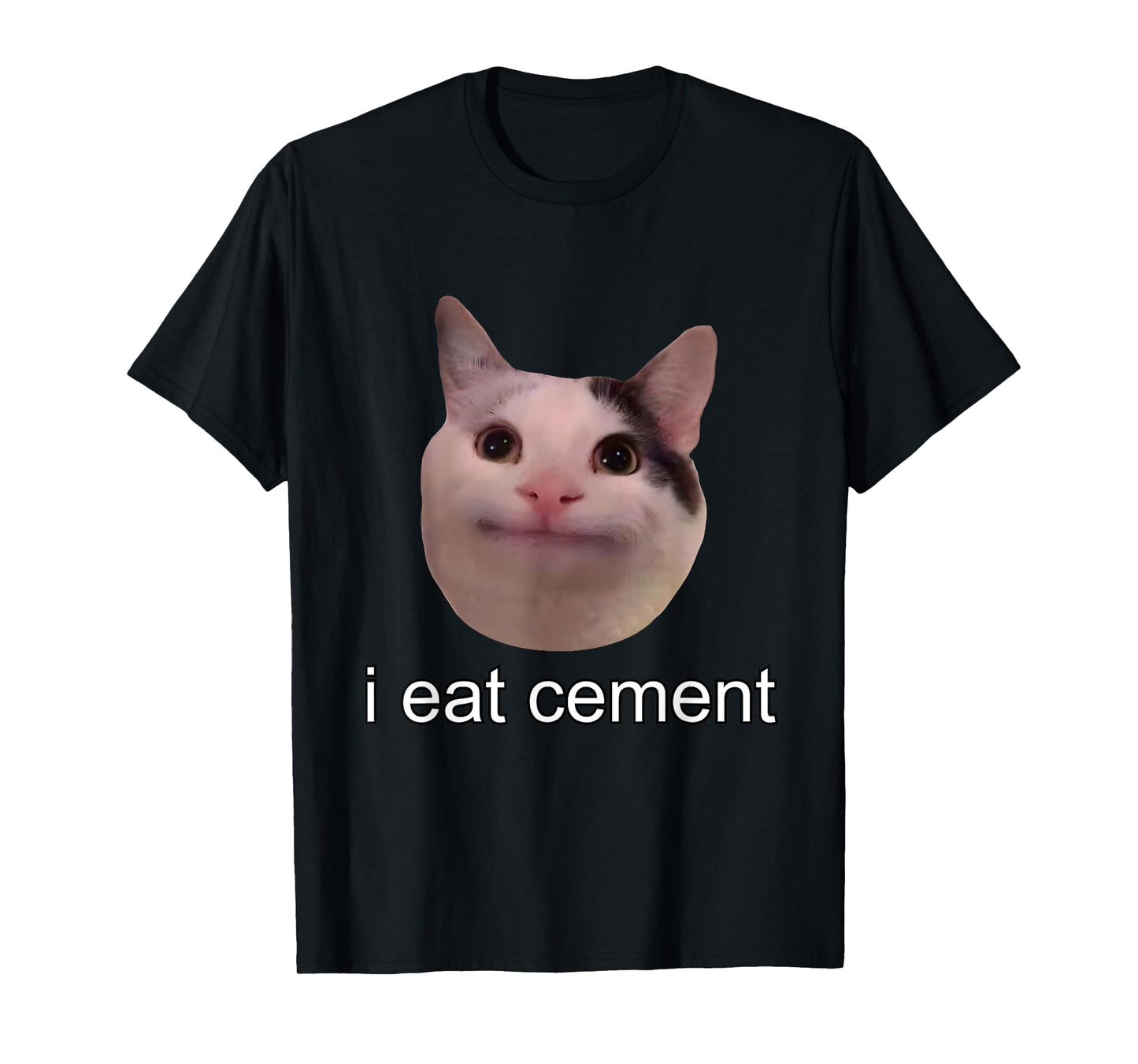 I Eat Cement Cursed Cat Funny Oddly Specific Meme T-Shirt