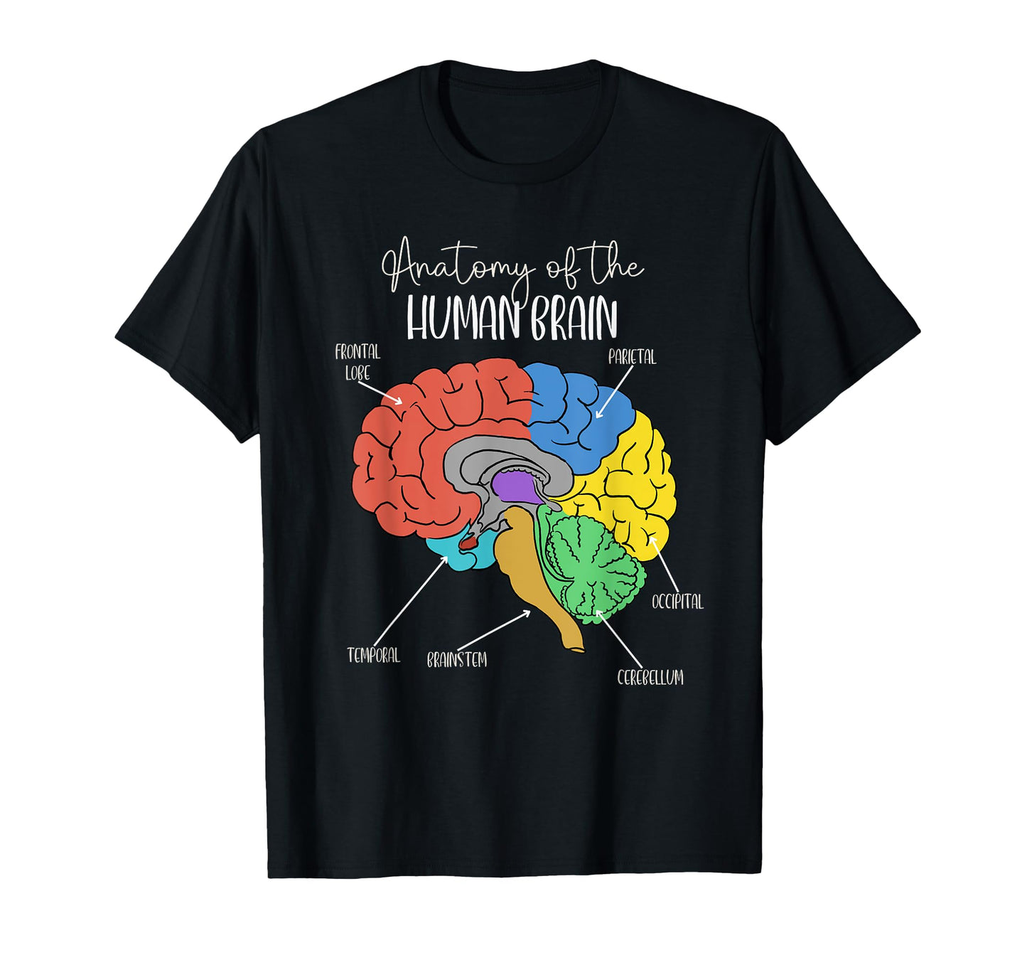 Anatomy of the Human Brain Diagram Neurology Colorful Brain T-Shirt