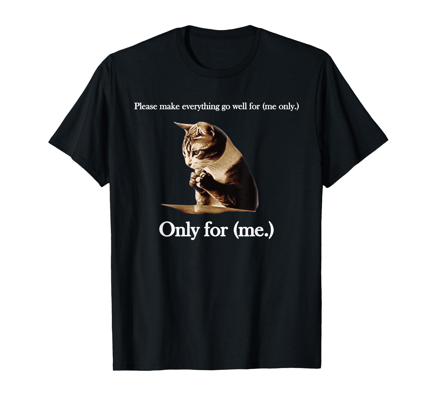 Please Make Everything Go Well For (me only.) Cat Saying T-Shirt