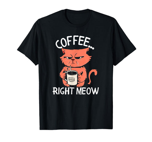 Coffee Right Meow Funny Cat Coffee Lovers Saying Quote T-Shirt