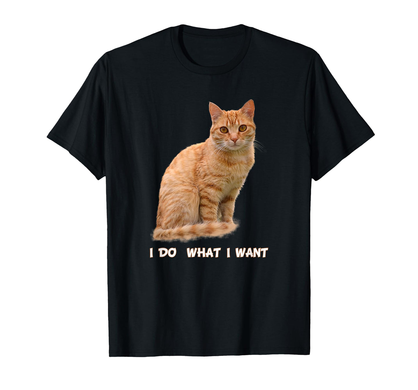 I Make What I Want Funny Orange Tabby Cat Lovers T-Shirt
