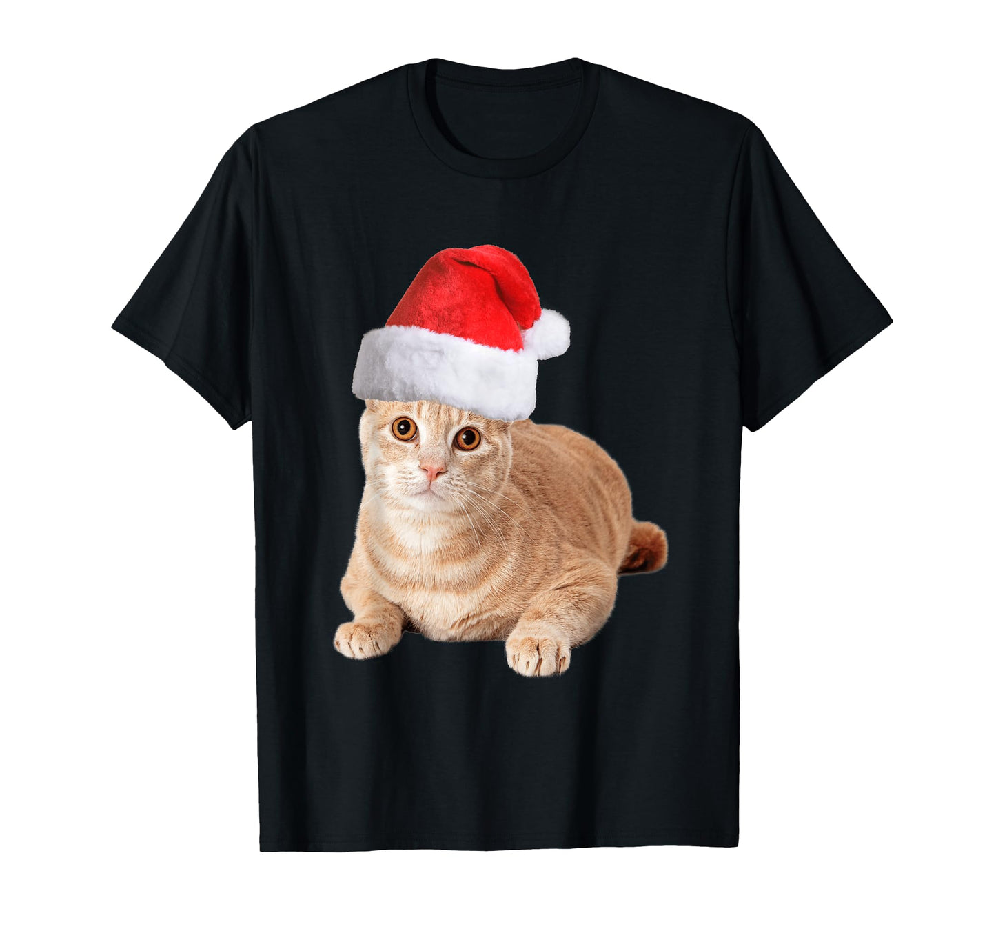 Orange Tabby Cat With Christmas Santa Hat For Women Men T-Shirt