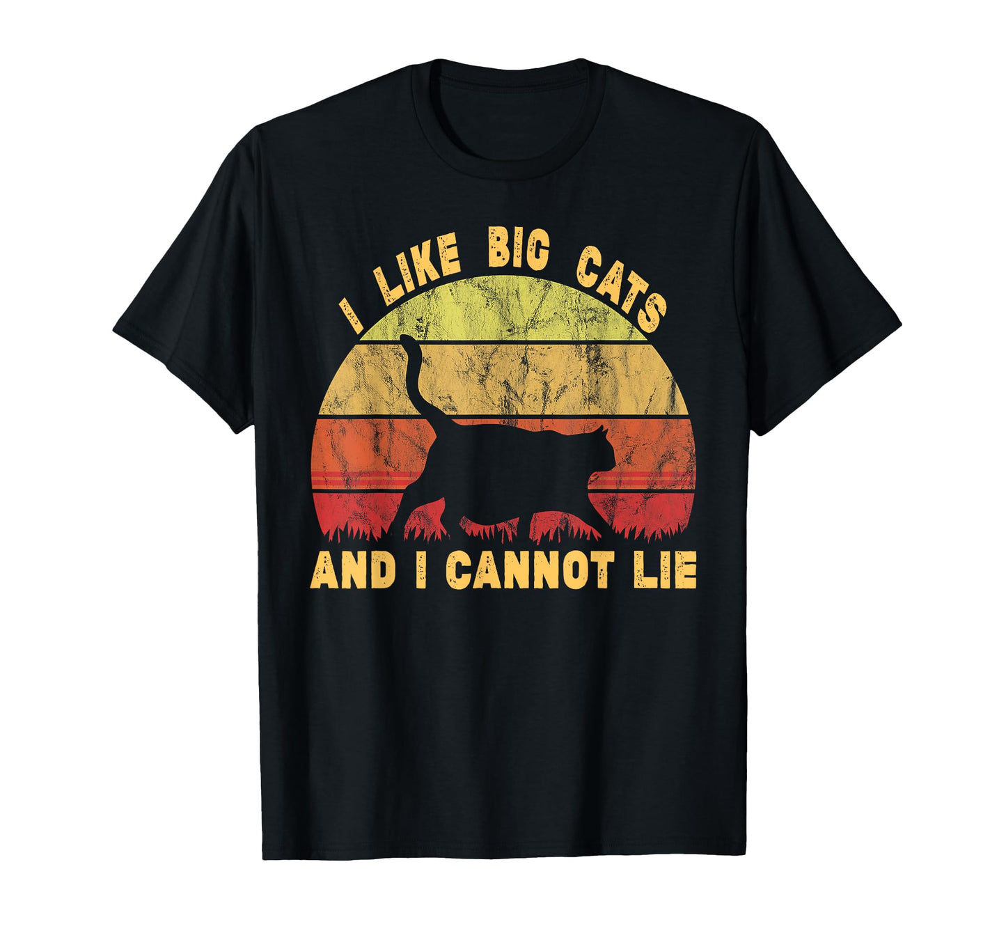 Fat Lover Chonk Meme I Like Big Fat Cats and I Cannot Lie T-Shirt
