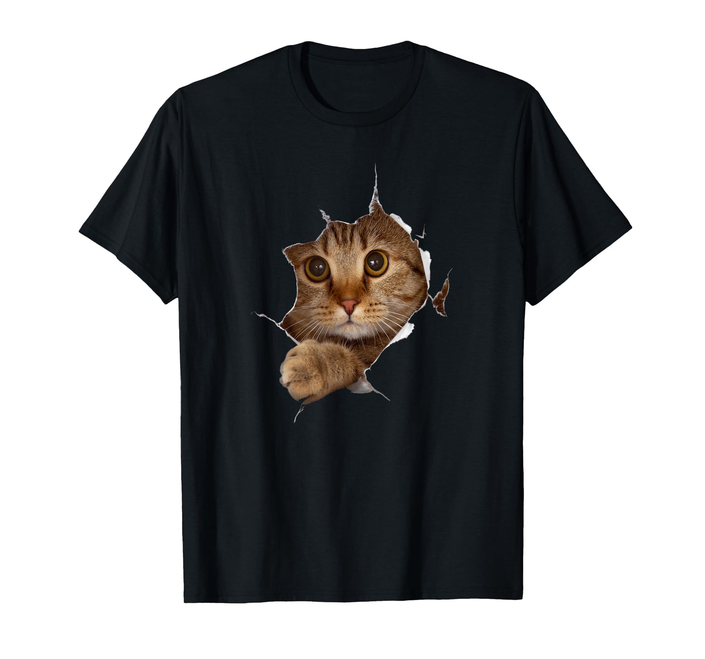 Sweet Kitten Torn Cloth - Funny Cat Lover Cat Owner Cat Lady T-Shirt