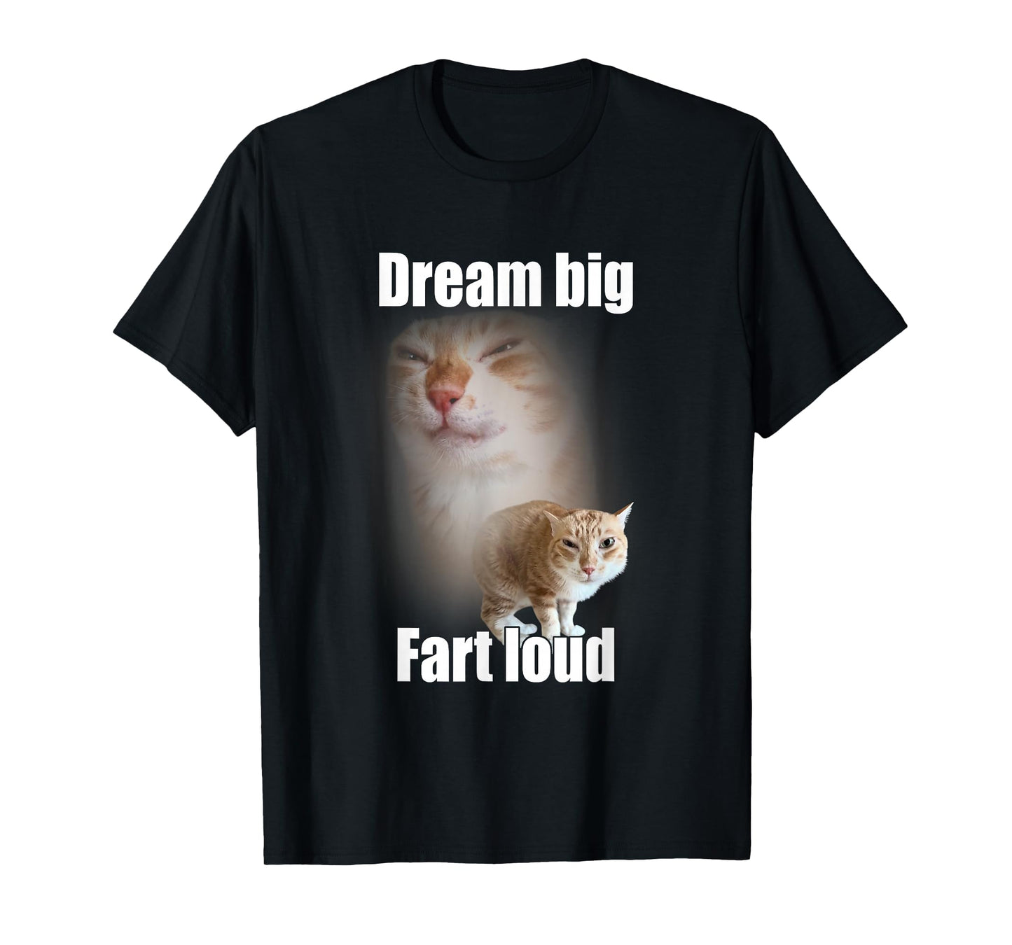 Dream Big Fart Loud Cat Meme Funny Saying T-Shirt