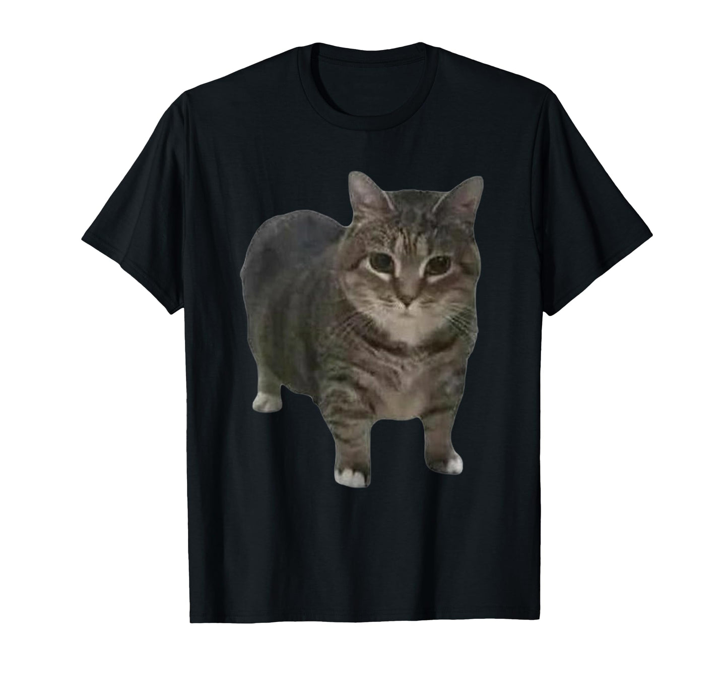 Funny oiia oiia Spinning Cat Meme Men Women T-Shirt