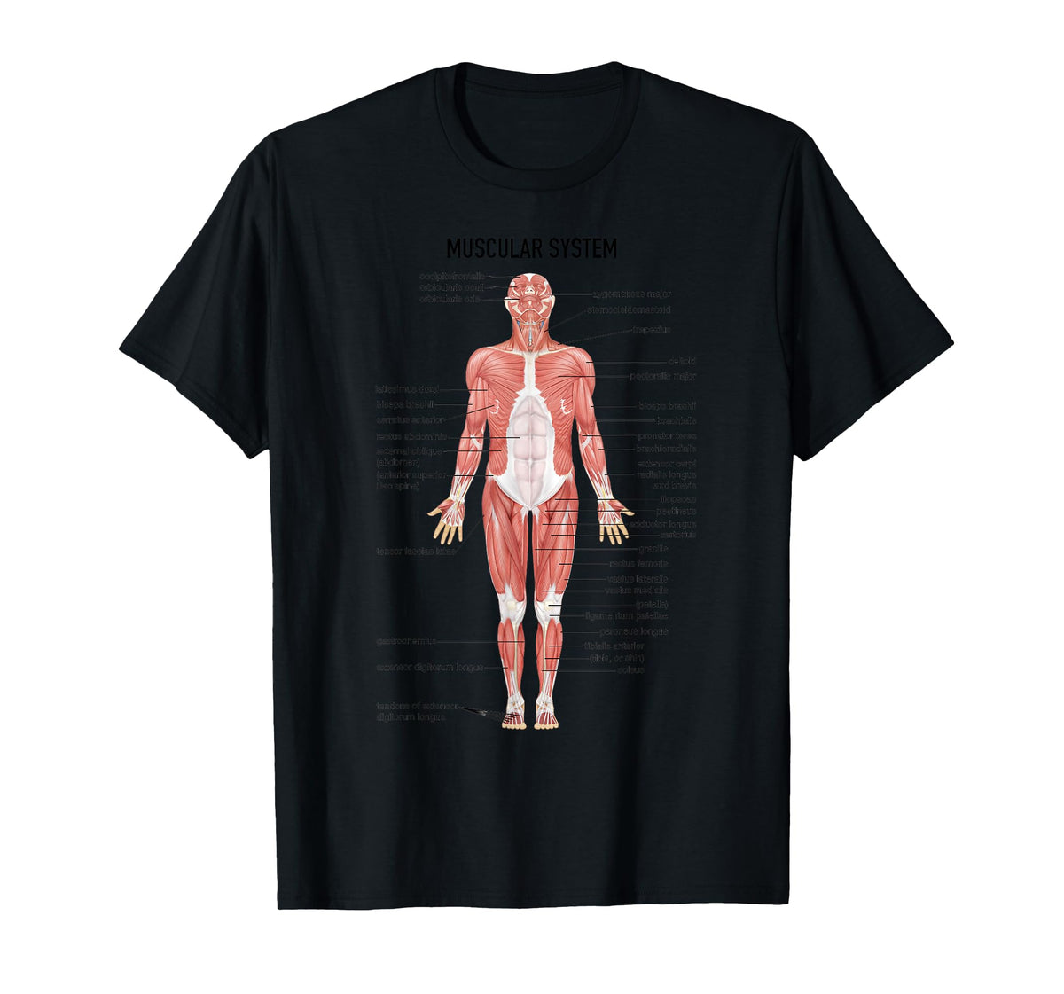 Muscular System Nurse Doctor Funny Med Medical Jokes Humor T-Shirt