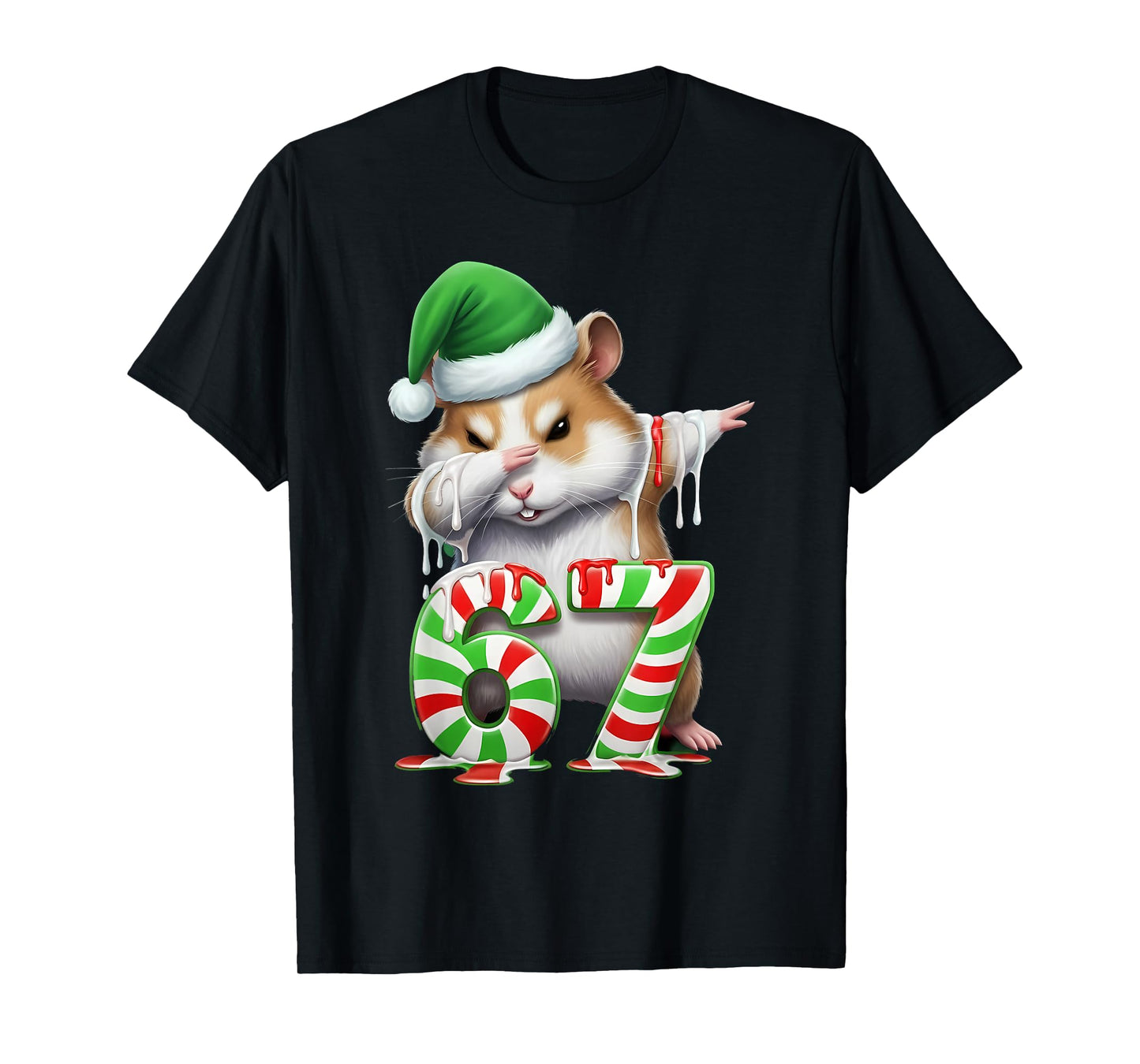 67 Christmas Funny 67 Brainrot Youth Kids Hamster 67 T-Shirt