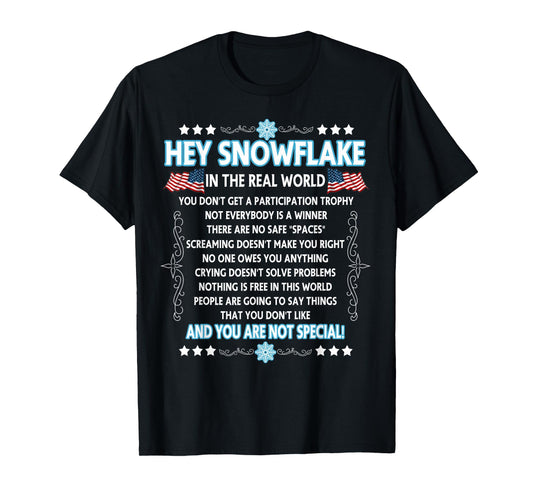 Hey Snowflake the real world t-shirt funny veteran gift T-Shirt