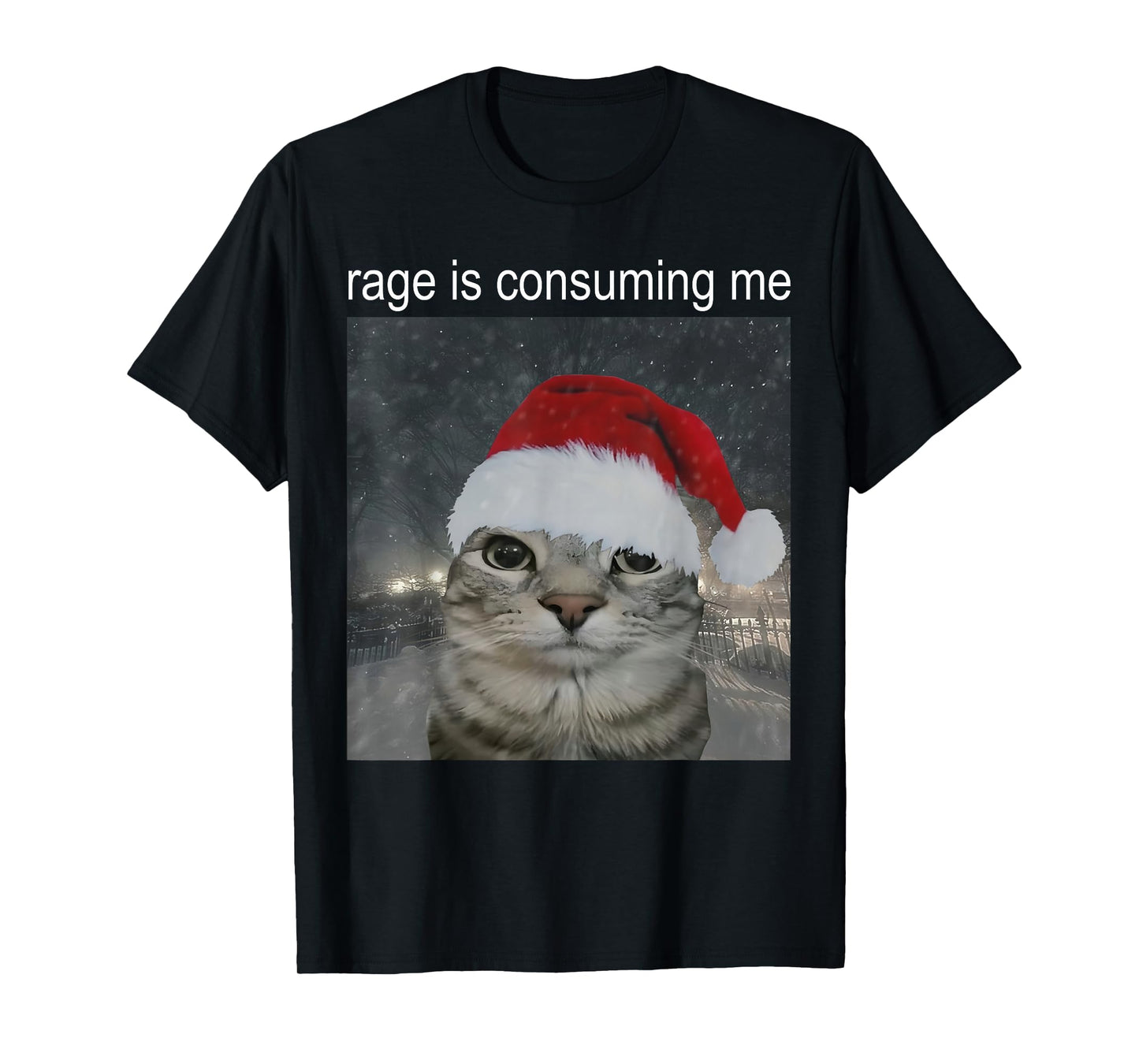 Rage Consumes Me Funny Christmas Cat Meme Women Men T-Shirt