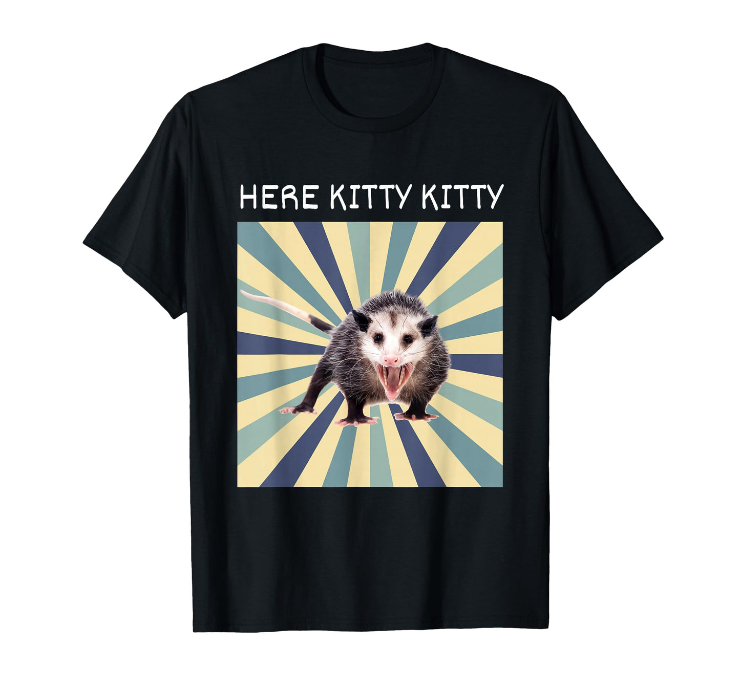 Here Kitty Kitty Opossum Funny Street Cat T-Shirt