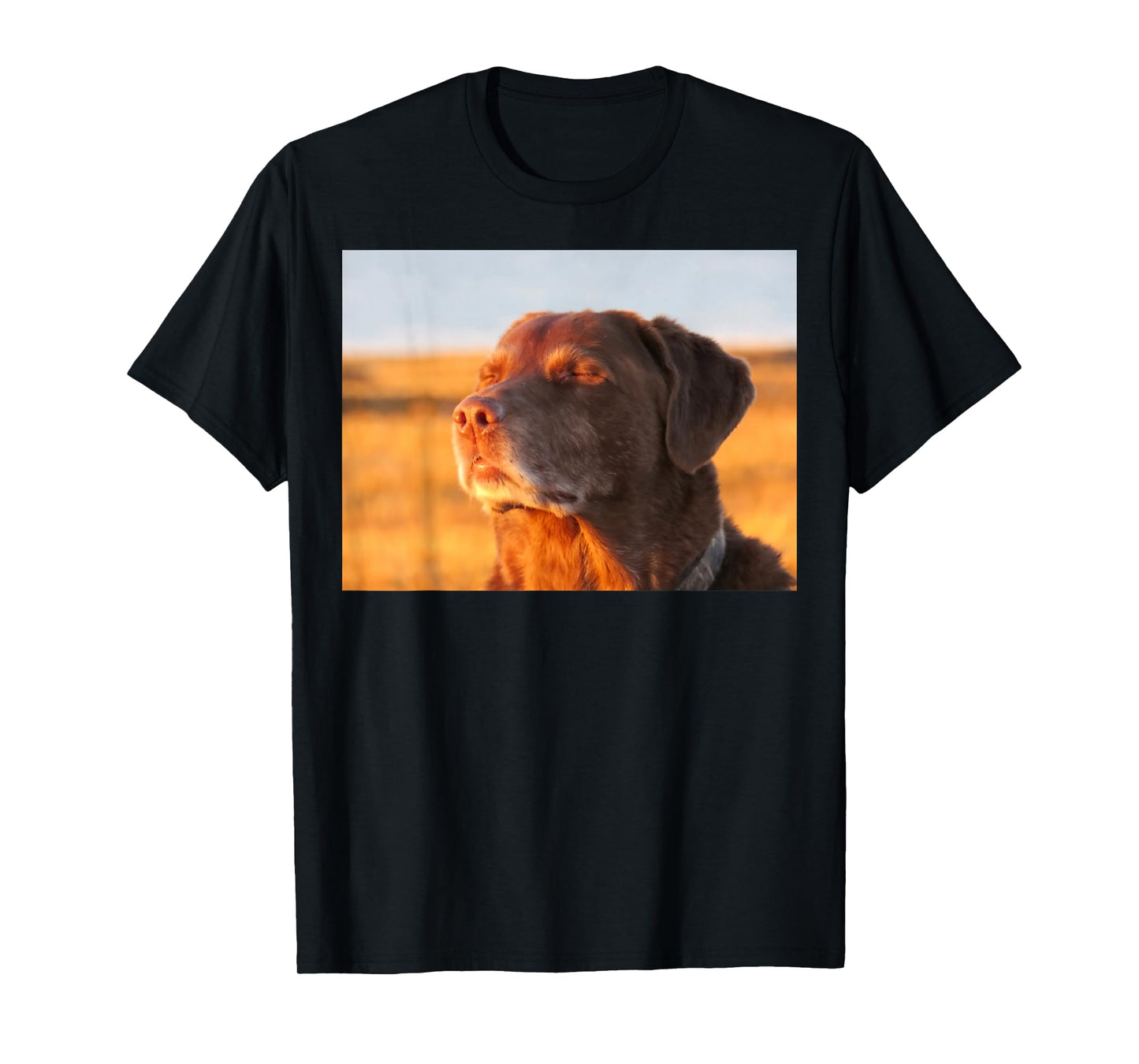 Cooked Dog Meme T-Shirt