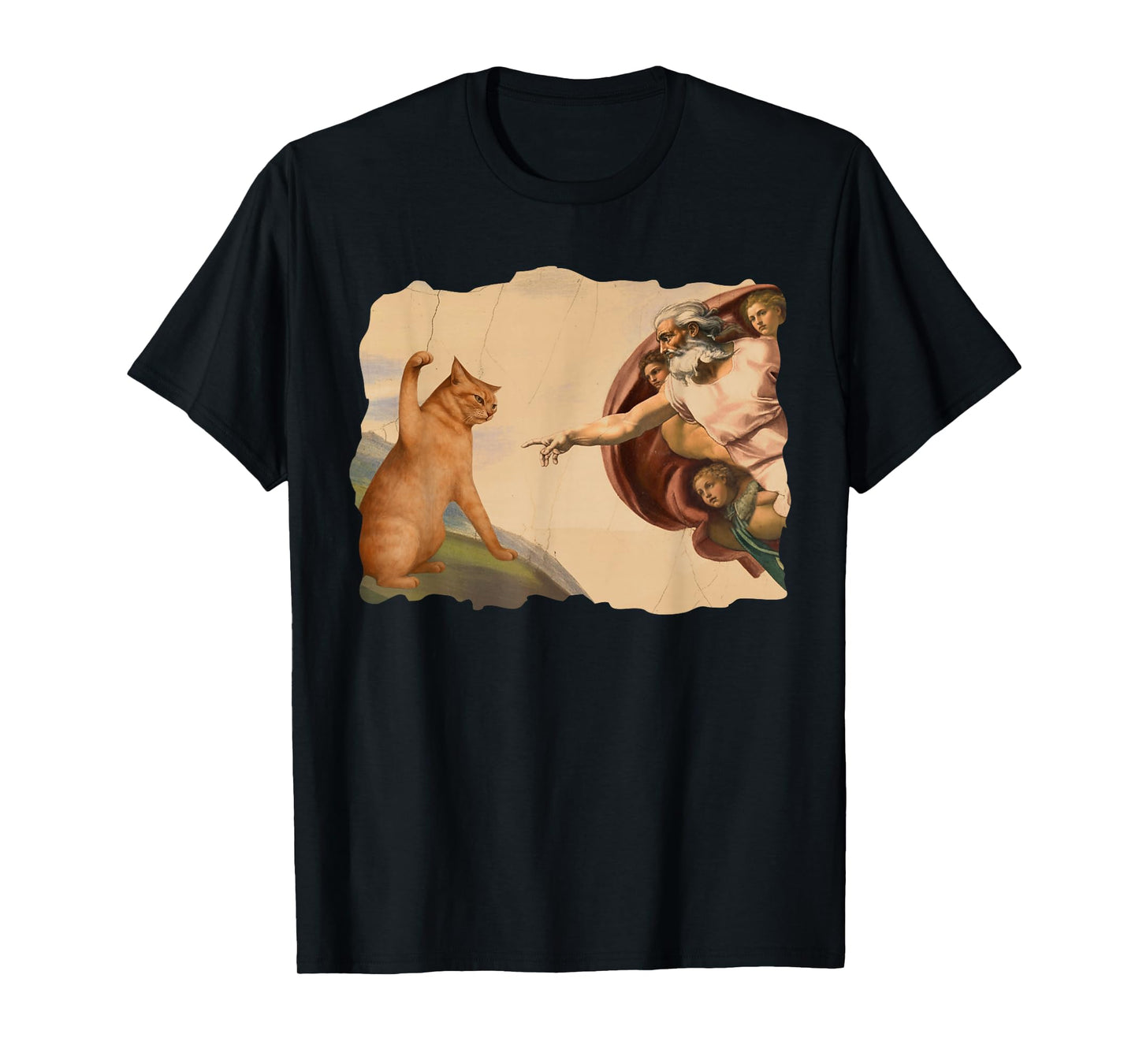 Funny Cat Swatting God's Hand Cat Shawncraft Cat Men Women T-Shirt