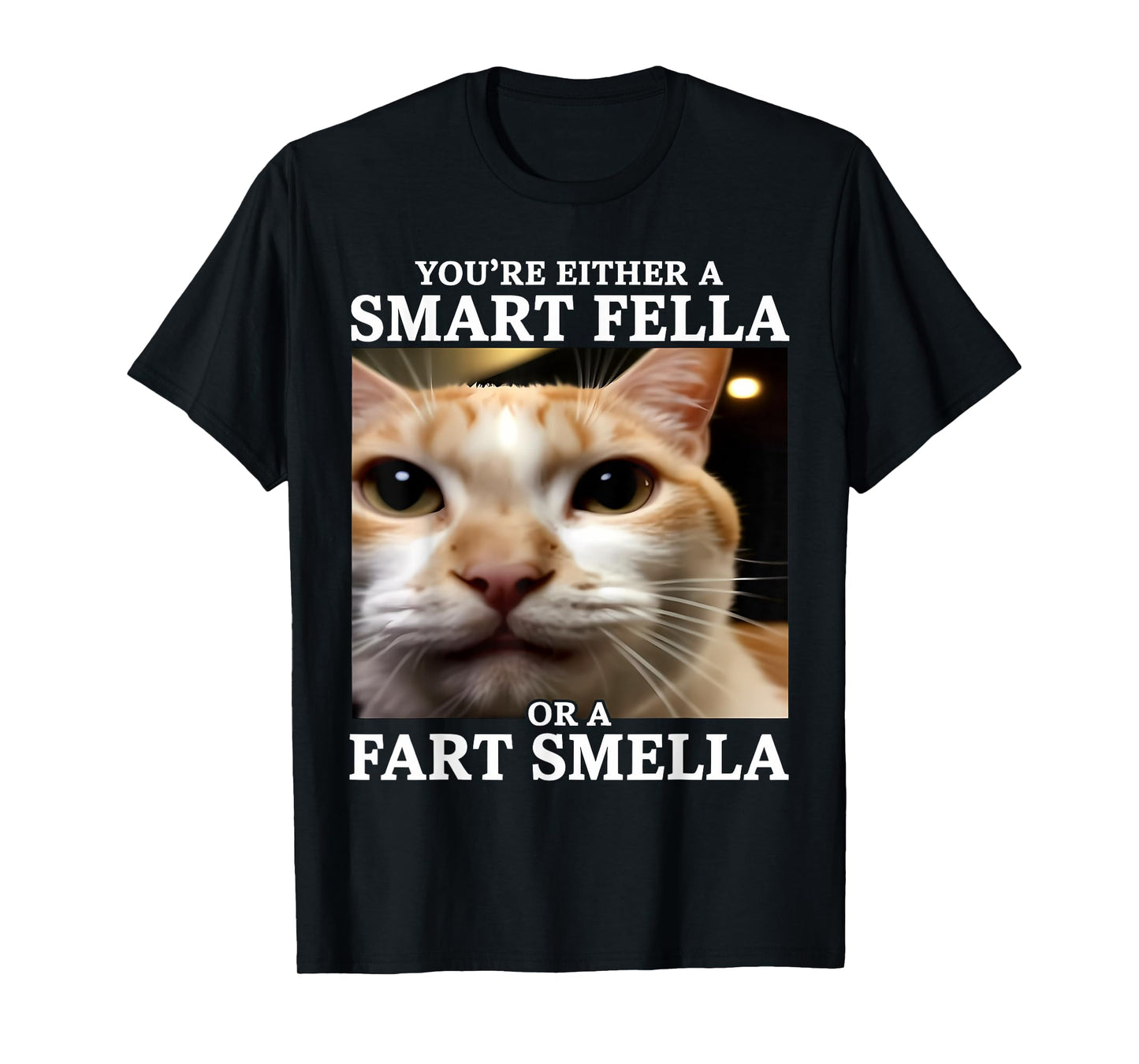 You're Either a Smart Fella or a Fart Smella Funny Cat Meme T-Shirt