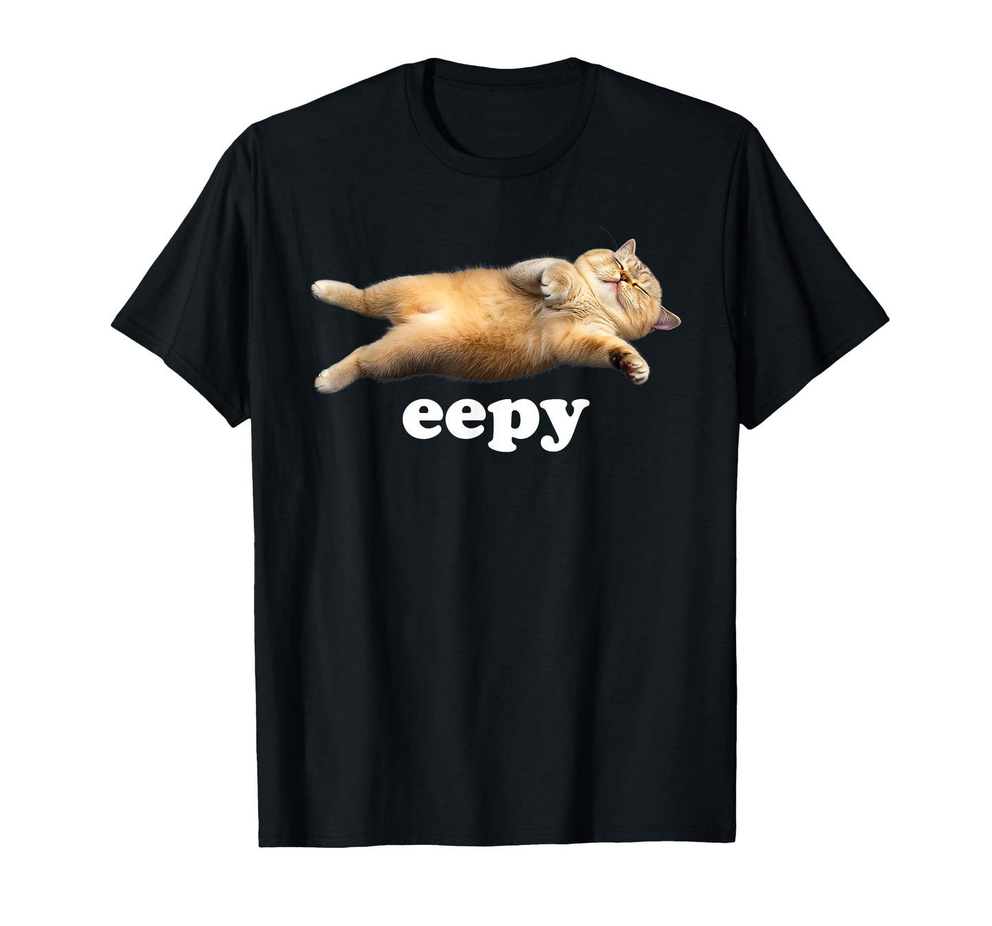 Eepy Cat Silly Sleepy Cat Funny Meme T-Shirt