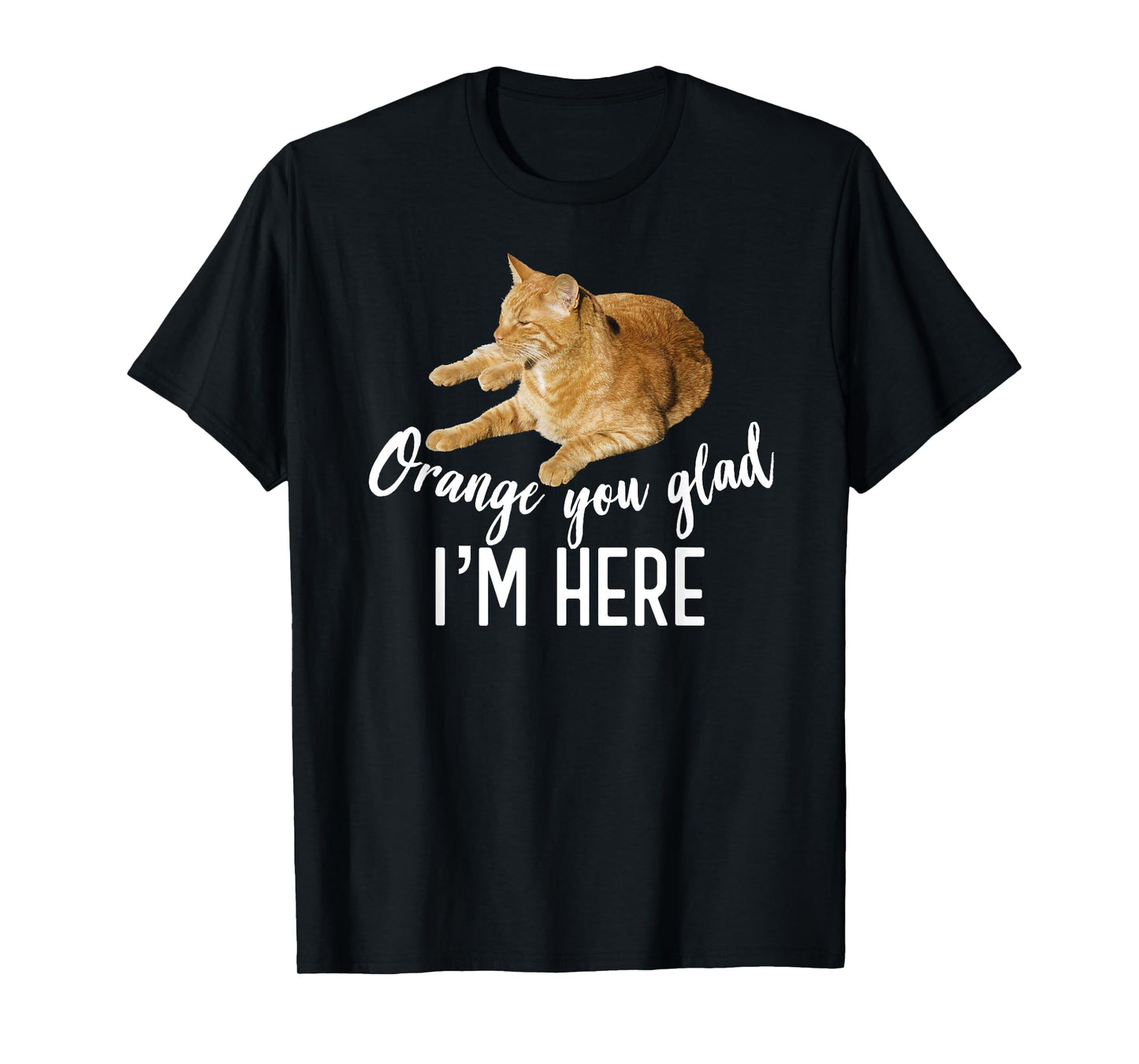 Orange You Glad I'm Here Tabby Cat Lover Graphic T-Shirt
