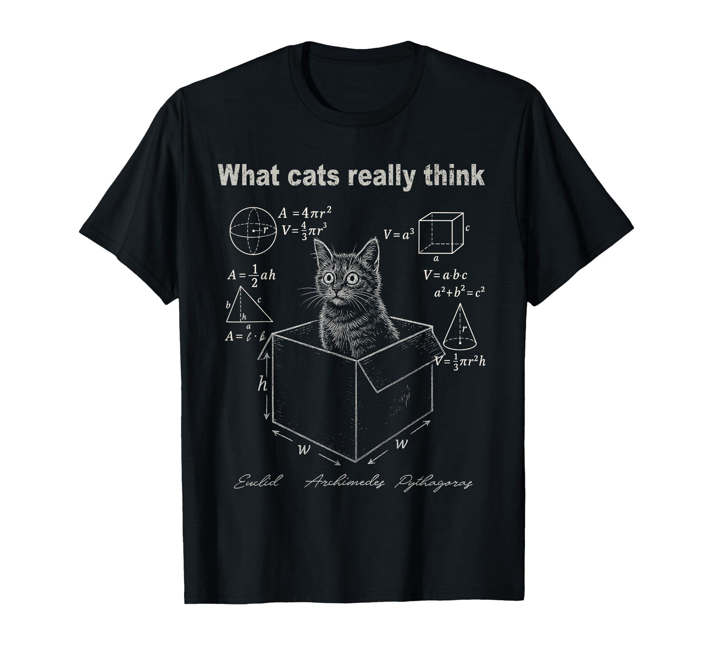 Funny Cat in Box Math Humor Design for Cat Lovers T-Shirt