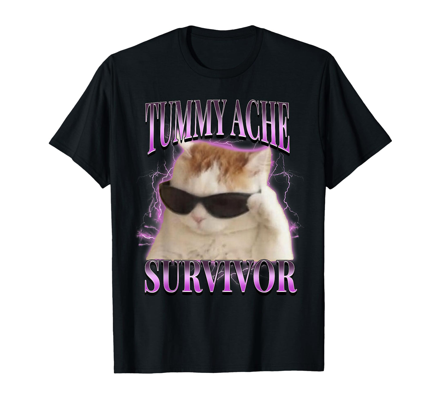 I Survived Today's Tummy Ache Silly Cat Meme Funny Cats T-Shirt