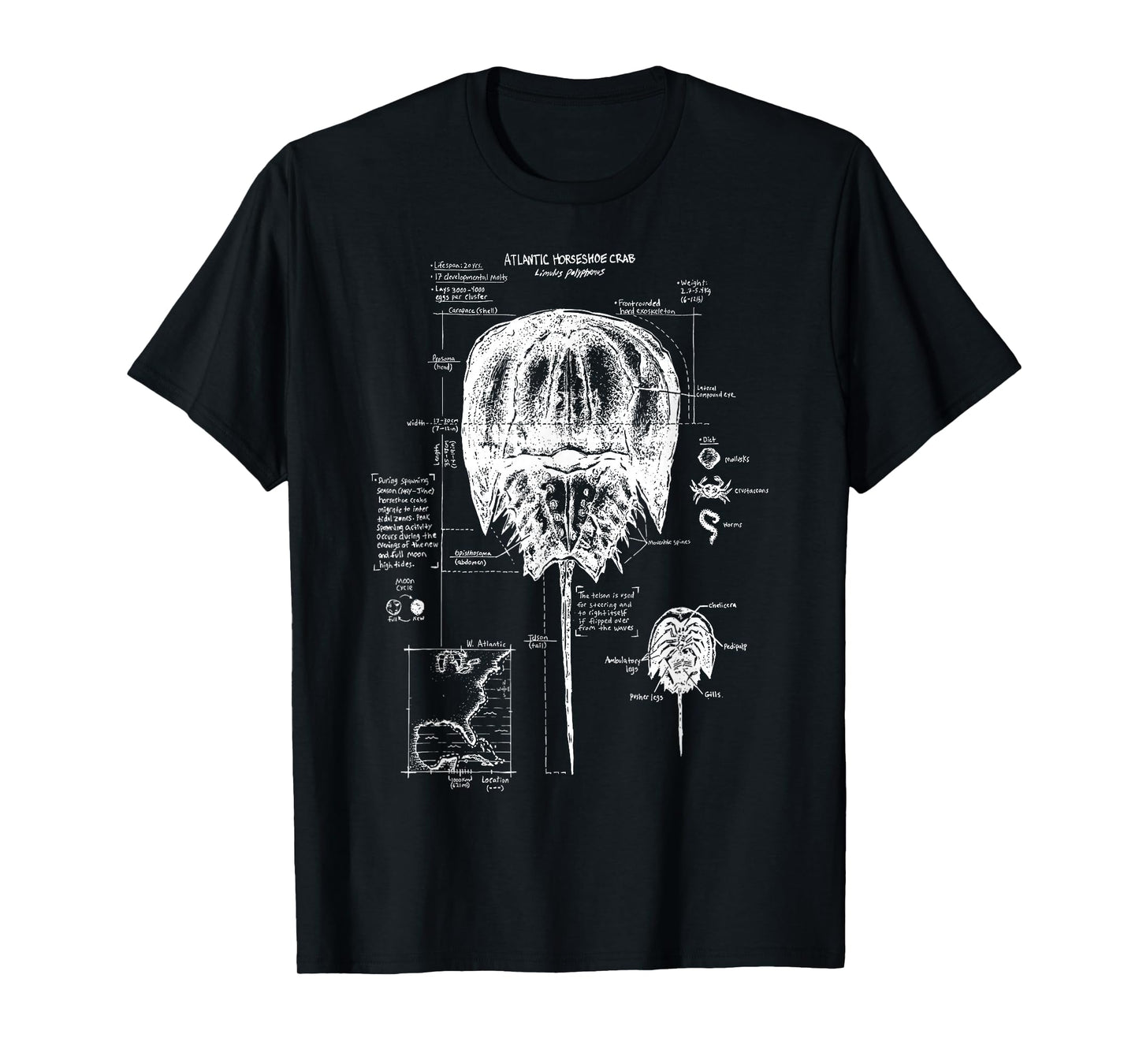 Atlantic Horseshoe Crab Anatomy Marine Biology Ocean Animal T-Shirt