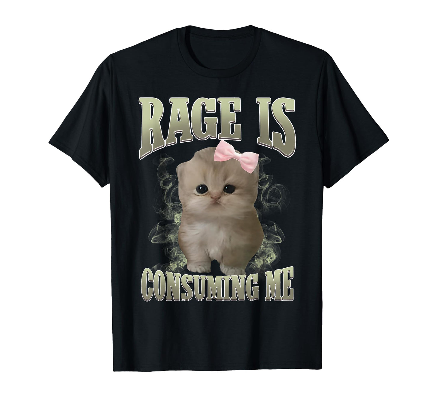 Rage Is Consuming Me Cute Coquette Bow Kawaii Cat Meme Humor T-Shirt