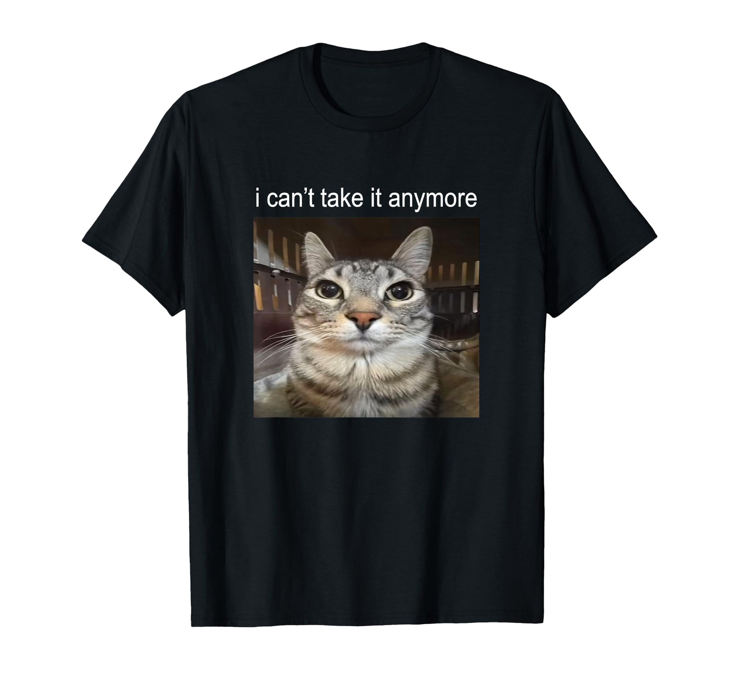 Silly Staring Cat I Can't Take It Anymore Meme T-Shirt
