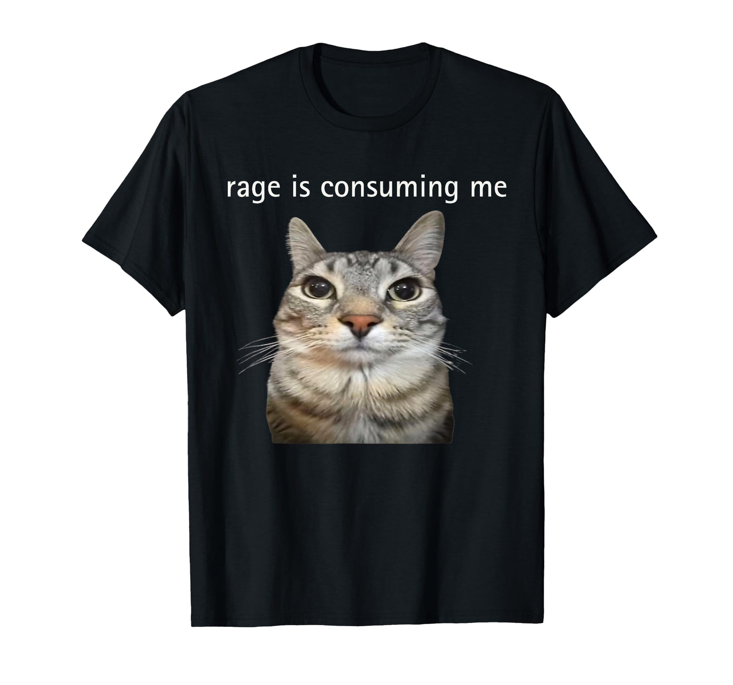 Rage Is Consuming Me Silly Staring Cat Meme Dad Mom T-Shirt