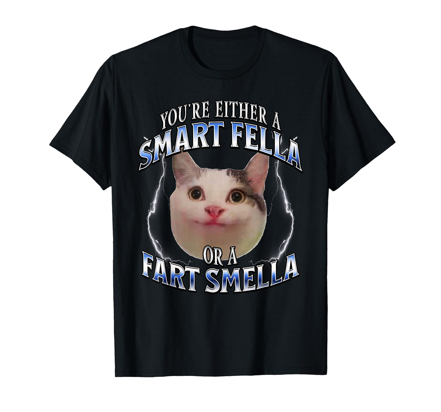 funny cat meme you're either a smart fella or a fart smella T-Shirt for Men Women Kids
