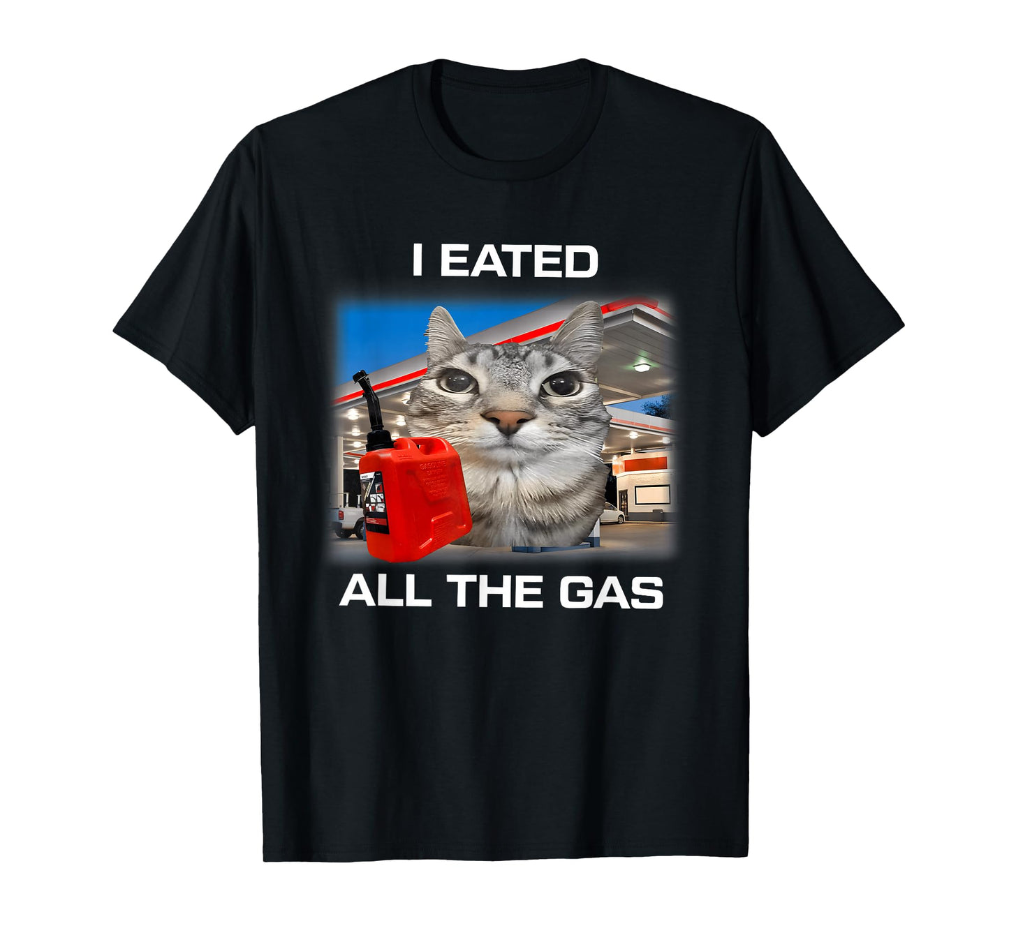 I Eated All The Gas Cat Meme Gen Z Humor Y2k Kitten Meme T-Shirt
