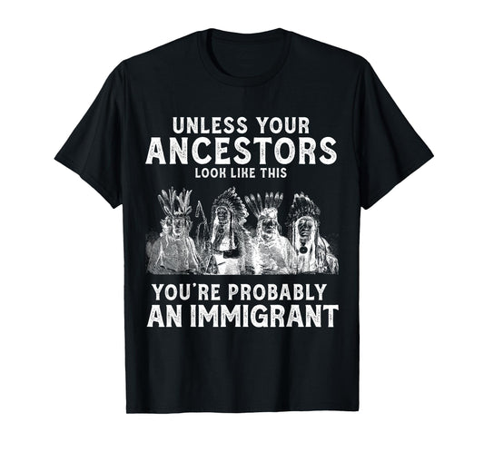 American Indian You're Probably an Immigrant T-Shirt