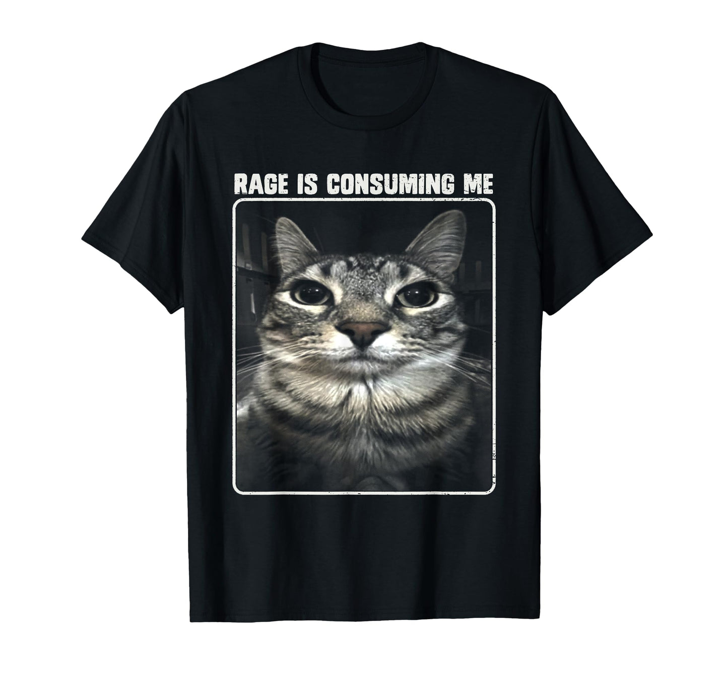 Rage Is Consuming Me Meme Silly Cat T-Shirt for Men Women Girls Kids