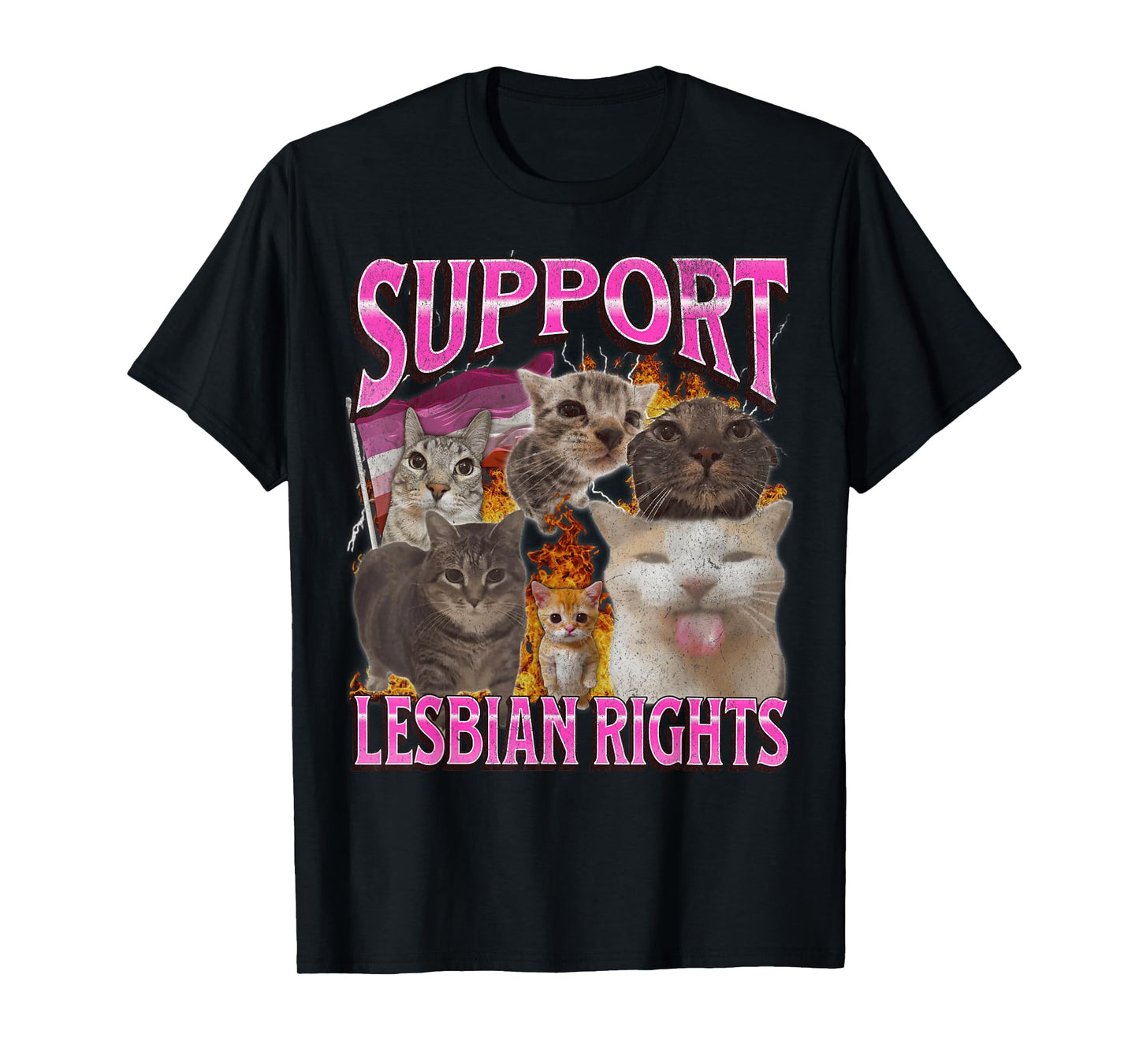 Support Lesbian Rights Funny Gay Cat Meme Bootleg Graphic T-Shirt for Men Women