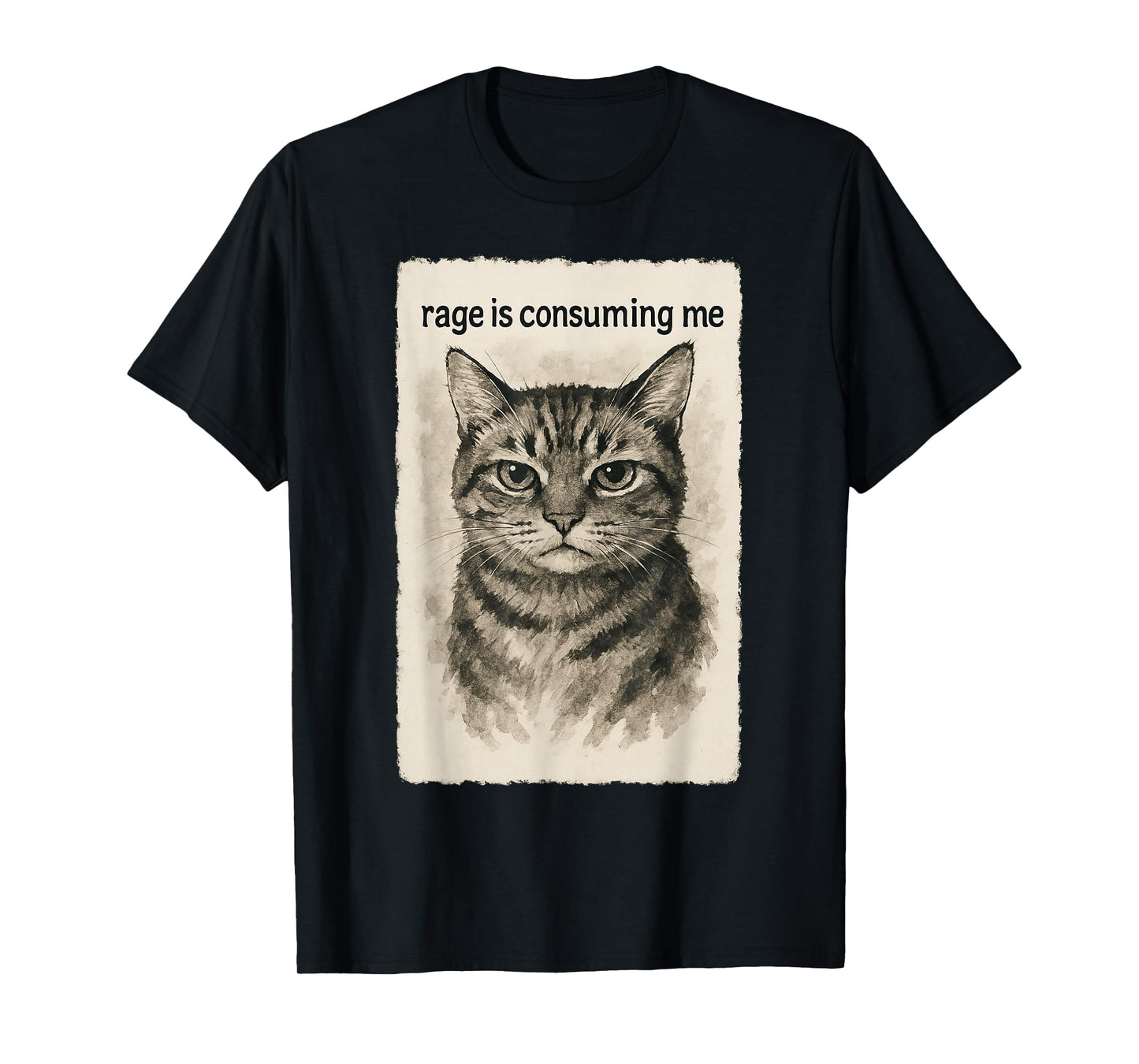 Rage is Consuming Me Funny Silly Staring Cat Meme Sumi-e T-Shirt