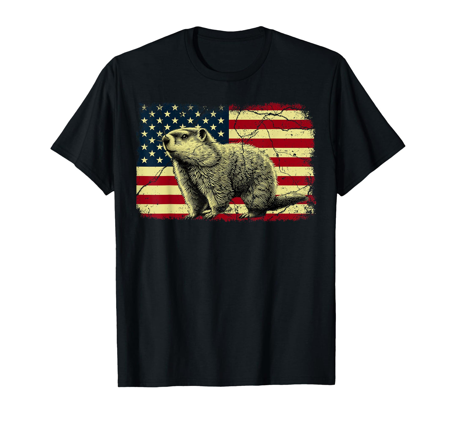 Punxsy Phil American Flag Groundhog Day For Men Women T-Shirt