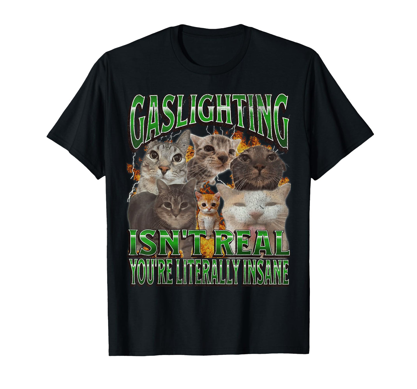 Gaslighting Isn't Real Funny Cat Meme Bootleg Graphic T-Shirt